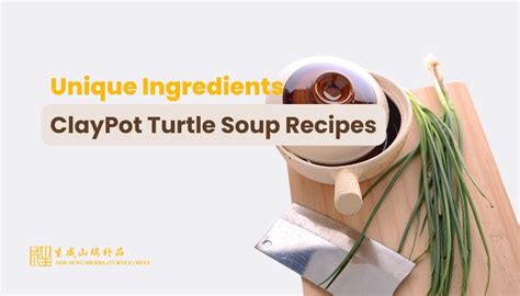 Uncovering the Ultimate Recipe for Turtle Soup