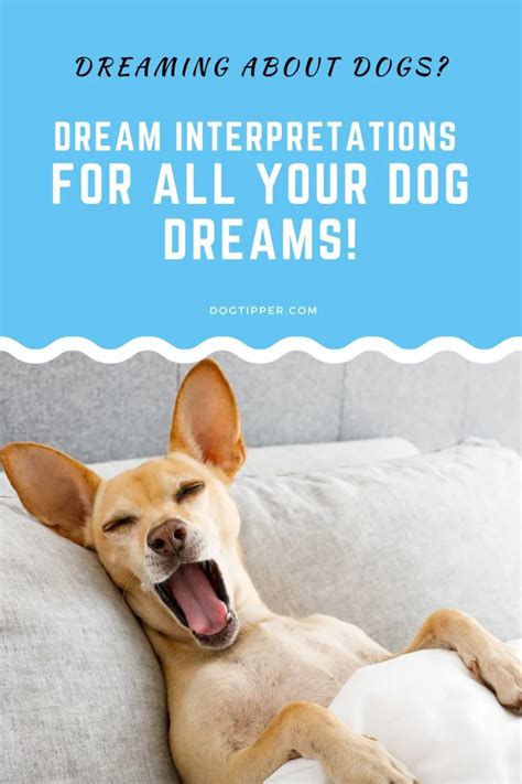 Understand the Psychological Interpretation of Canine Dreams