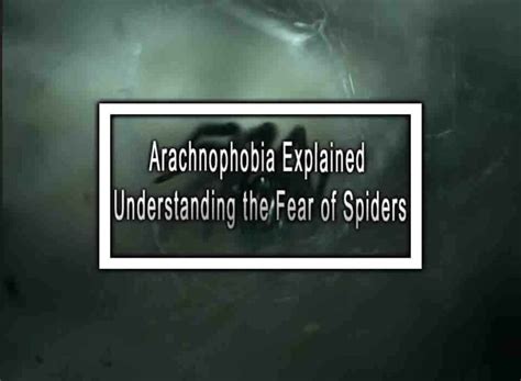 Understanding Arachnophobia: The Fear of Tarantulas and its Impact