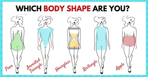 Understanding Bea 4 You's Body Shape