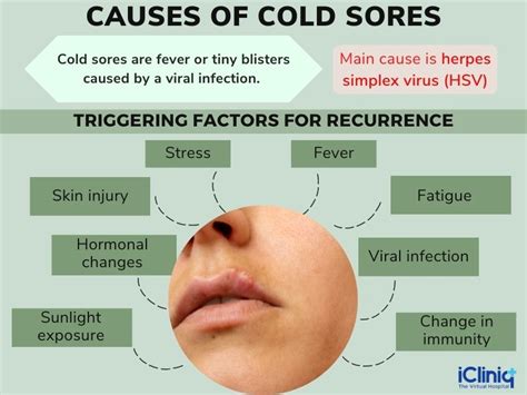 Understanding Cold Sores: Causes and Symptoms