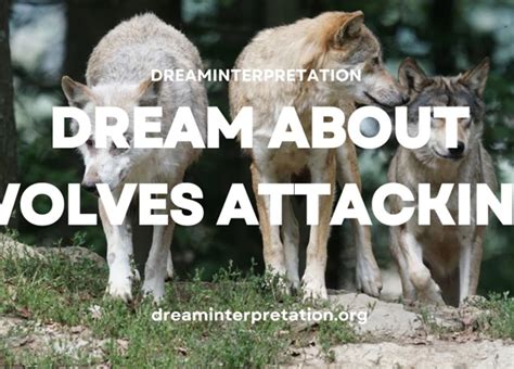 Understanding Dreams of Being Attacked by Animals