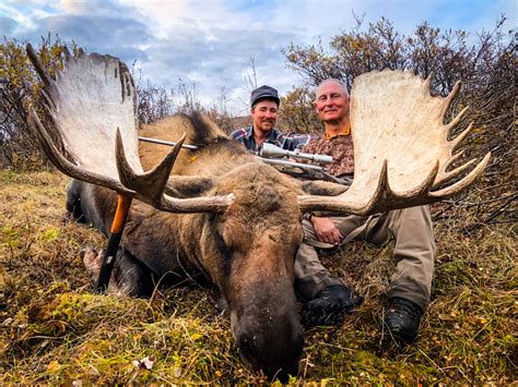 Understanding Moose Behavior: Insights into the Hunt