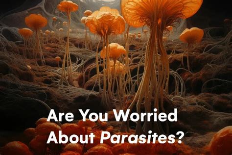 Understanding Parasitic Infections and their Effects on Dream Patterns