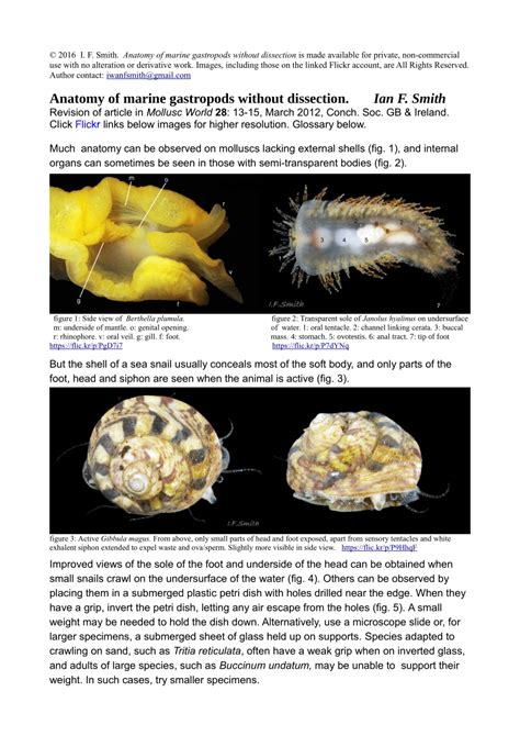 Understanding Potential Health-related Explanations for Expelling Gastropods in Dreams