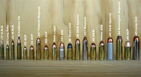 Understanding Rifle Calibers and Ammunition