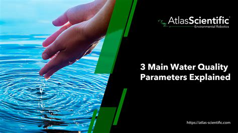 Understanding Water Parameters and Maintaining Water Quality