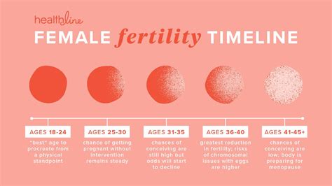 Understanding Your Fertility