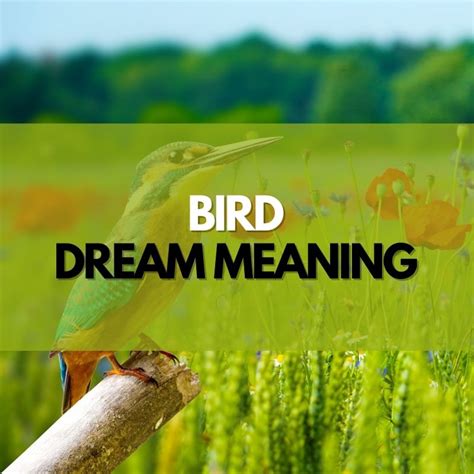 Understanding and Analyzing Bird Dream Interpretations