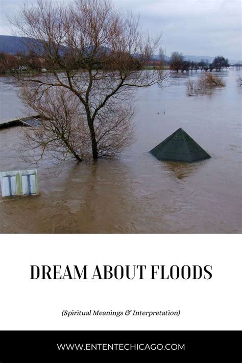 Understanding and Interpreting Flood-Related Dreams