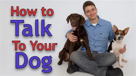 Understanding the Art of Communicating with Dogs