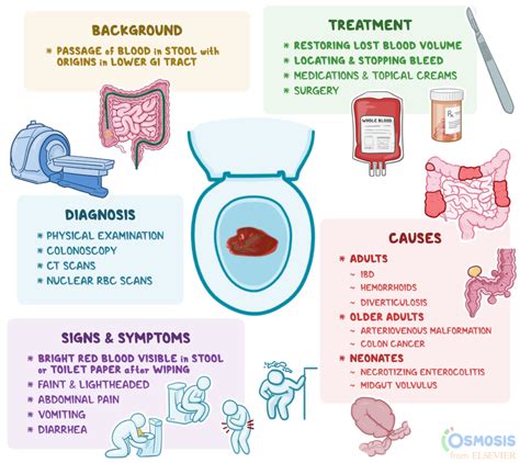 Understanding the Causes Behind Dreams of a Bloody Anus