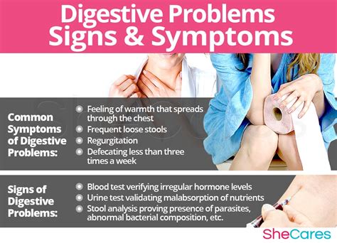 Understanding the Causes of an Upset Digestive System