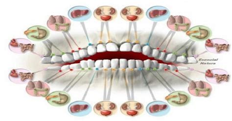 Understanding the Connection: Exploring the Relationship between Teeth and Self-Image