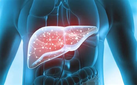 Understanding the Connection Between Dreams and Liver Health