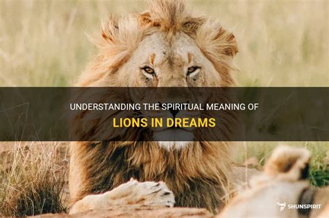 Understanding the Cultural Significance of Lion Hunting in Dreams: Exploring Ancient Traditions