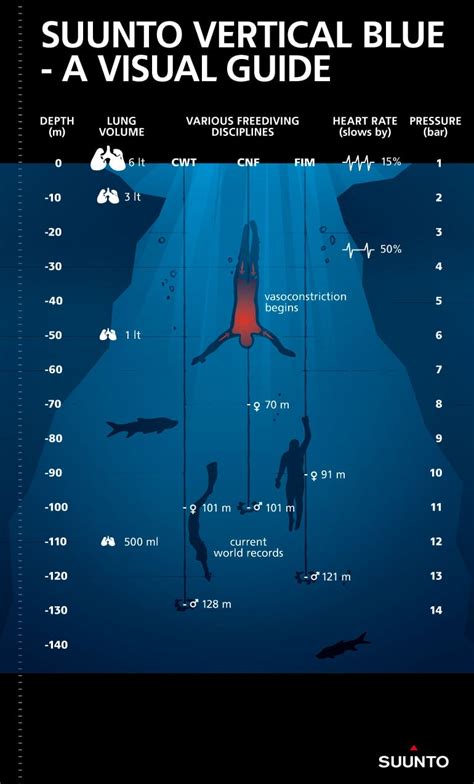 Understanding the Depths: A Dive into Shallow Water Dreams