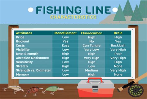 Understanding the Different Types of Fishing Lines