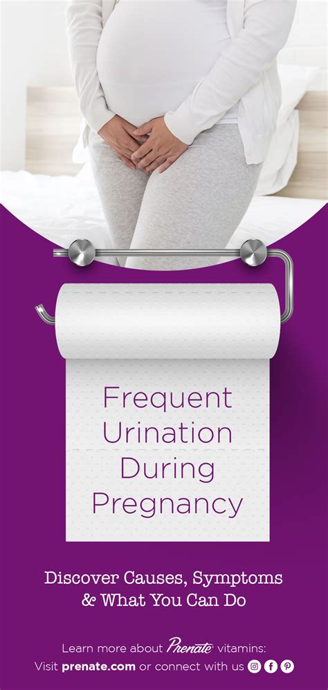 Understanding the Dream of Frequent Urination during Pregnancy