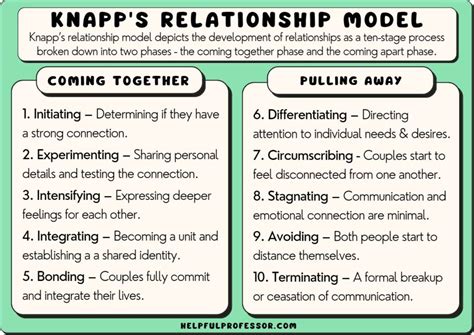 Understanding the Dynamics of Relationships Depicted in the Dream