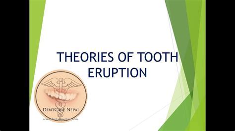 Understanding the Emotional Impact of Dreams Involving Loss of the Anterior Tooth