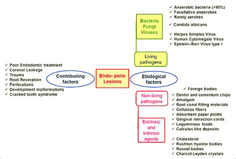 Understanding the Factors Behind the Rupture of Skin Lesions: Contributing Factors, Indications, and Management