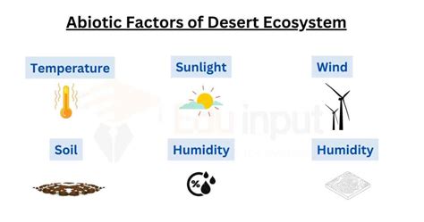 Understanding the Forces That Shape the Desert Landscape