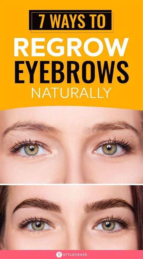 Understanding the Fundamentals of Eyebrow Regrowth