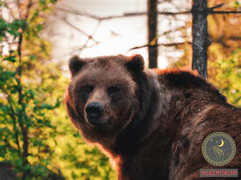 Understanding the Hidden Meanings: Deciphering Dreams of Bear Aggression