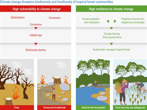 Understanding the Impact: Deforestation and its Contribution to Climate Change