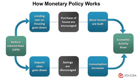 Understanding the Impact: How Monetary Contributions Transform Lives