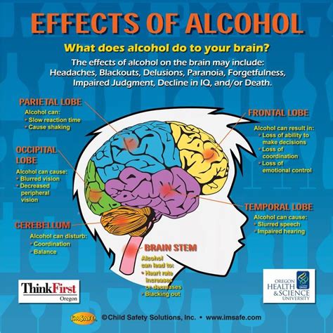 Understanding the Impact of Alcohol on an Infant's Cognitive Development