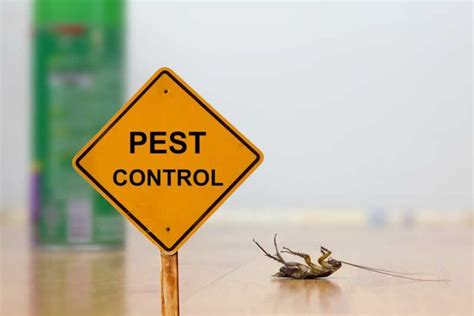 Understanding the Importance of Effective Pest Control