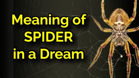 Understanding the Influence of Cultural and Personal Beliefs on Spider Dream Interpretations