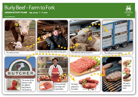 Understanding the Journey of Farm-to-Fork Meat Experience