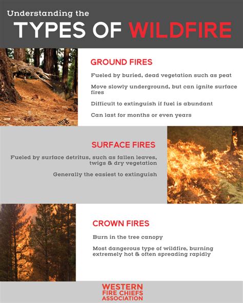 Understanding the Nature of Wildfires