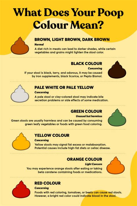 Understanding the Origins and Significance of Pale Stool: Exploring the Causes and Implications