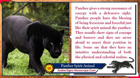 Understanding the Panther: A Symbol of Power and Strength in Dreams