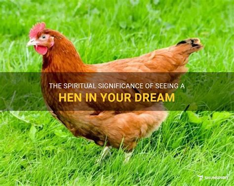 Understanding the Personal Significance of Dreams Featuring Mother Hen and Her Hatchlings