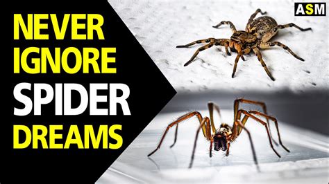 Understanding the Personal Significance of Your Spider Dream