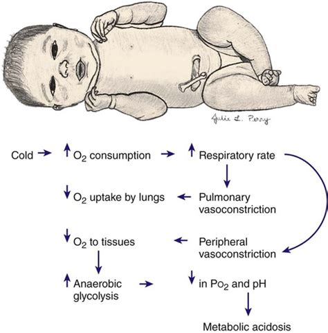 Understanding the Physiology of Infant Respiration