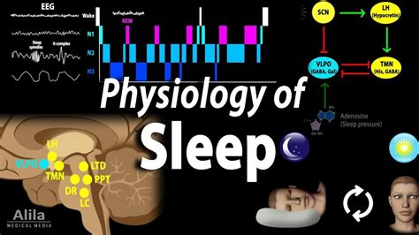 Understanding the Physiology of Sleep Vocalizations