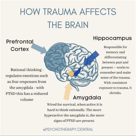 Understanding the Processing of Traumatic Experiences in Deeply Disturbing Subconscious Imagery