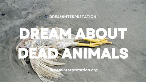 Understanding the Psychological Analysis of Dreams Depicting Animal Consumption