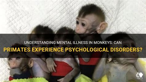 Understanding the Psychological Aspects of Primate Visions Enveloping My Every Movement