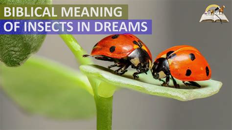 Understanding the Psychological Significance of Insects in Dreams