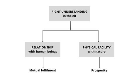 Understanding the Relationship between Dreams and Physical Needs