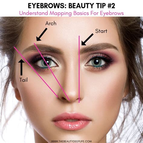 Understanding the Significance of Eyebrows in Enhancing Facial Features