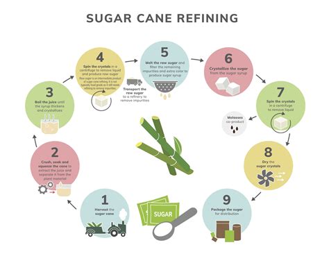 Understanding the Significance of Premium Cane Sugar
