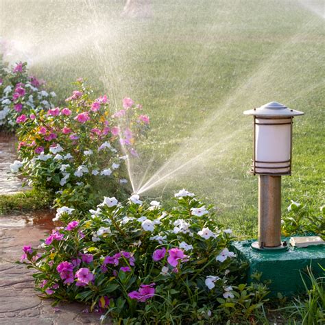 Understanding the Significance of Proper Irrigation Techniques